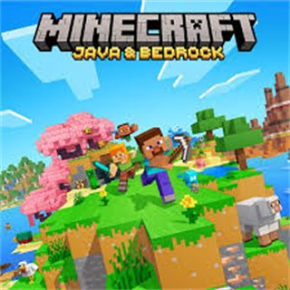 Minecraft game cover