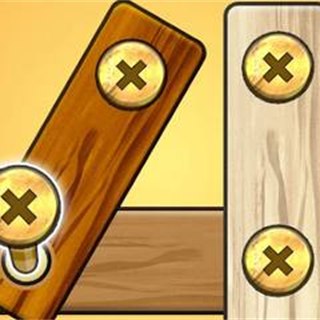 Nut Bolt Screw Puzzle Game game cover