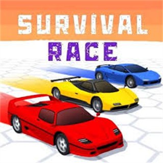 Survival Race game cover