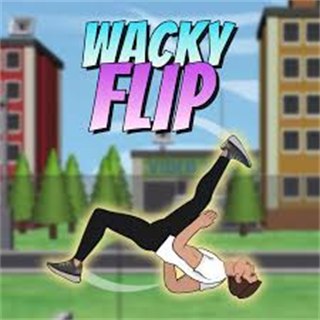 Wacky Flip game cover
